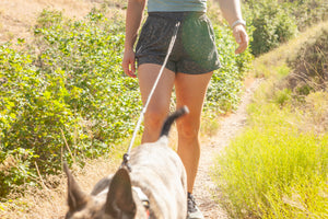 Kipharold Hands Free Leash