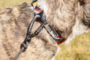Kipharold Hands Free Leash
