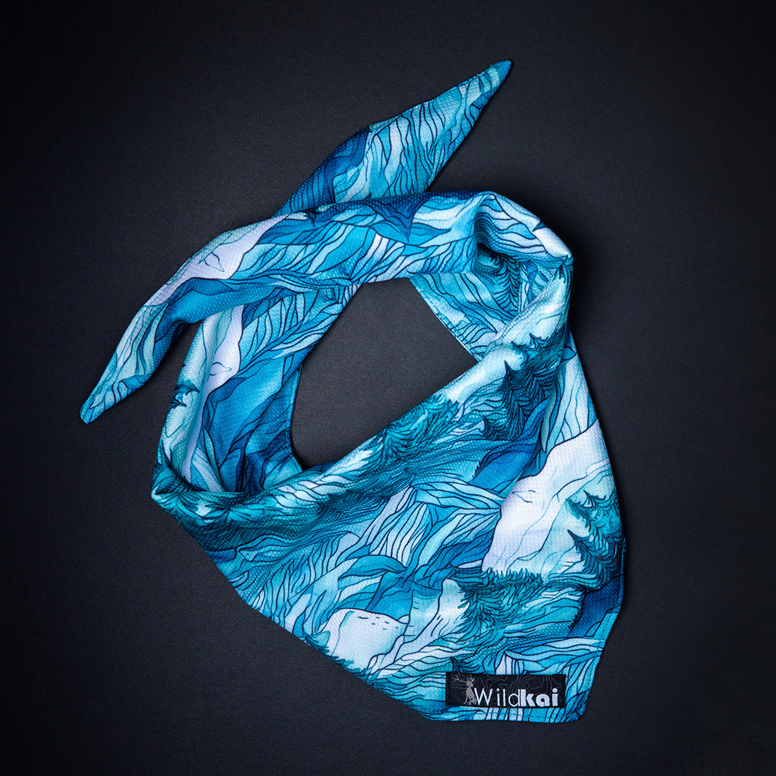 All Season Adventure Bandana