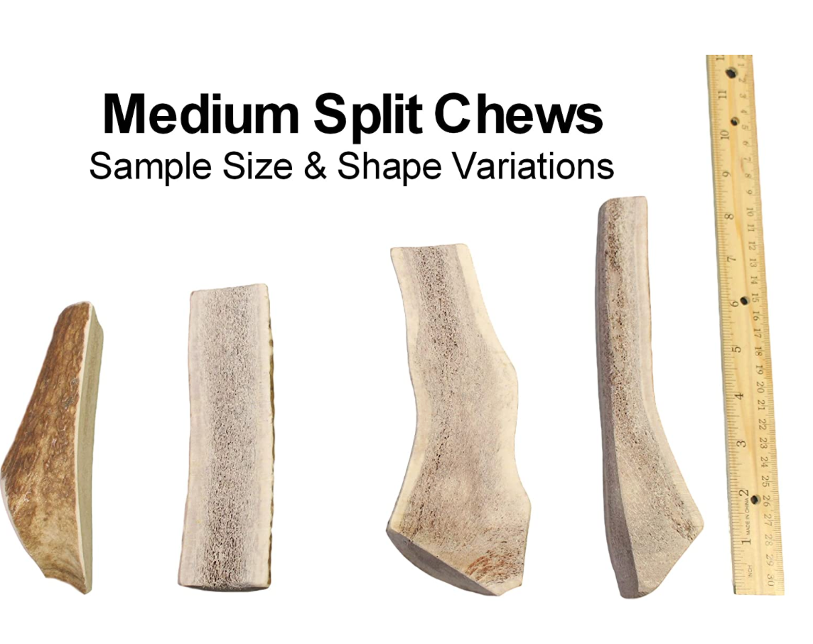 Medium Split Elk Antler Chew for 20-40 lb Dogs