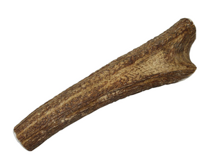 X-Large Elk Antler Chew for 50-90 lb Dogs