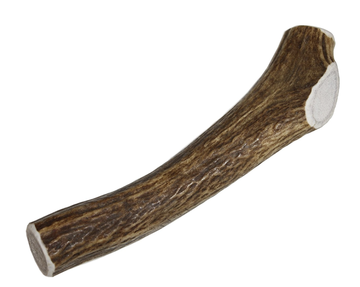 Small Whole Elk Antler Chew for 20-40 lb Dogs